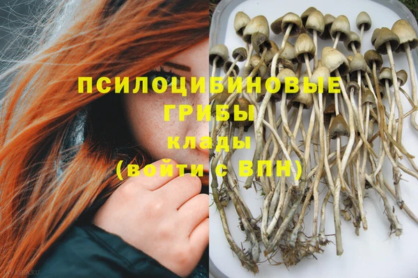 мяу мяу кристалл Аркадак