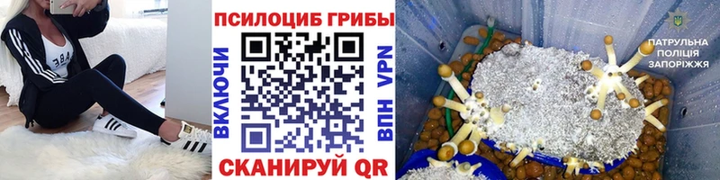Псилоцибиновые грибы Magic Shrooms  продажа наркотиков  мега ССЫЛКА  Калязин 